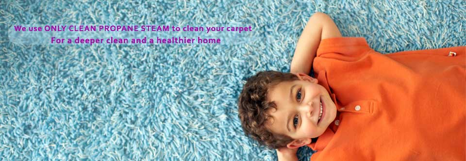 Carpet Cleaner